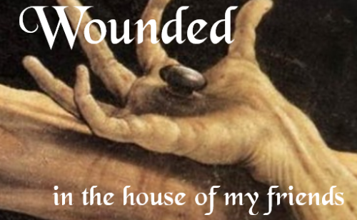 Wounded in the house of my friends